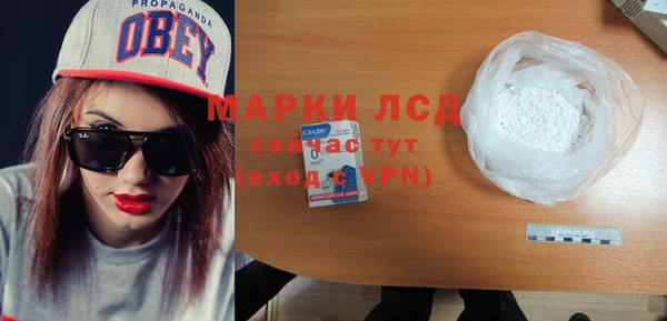 ПСИЛОЦИБИНОВЫЕ ГРИБЫ Арсеньев