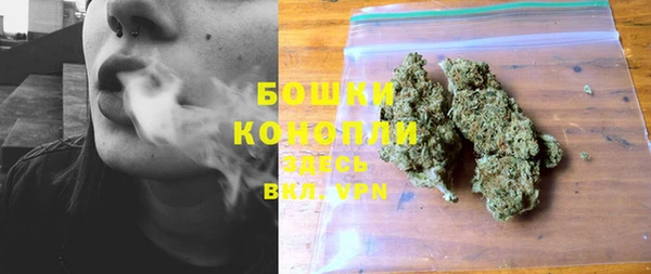 ПСИЛОЦИБИНОВЫЕ ГРИБЫ Арсеньев