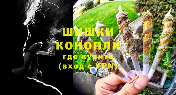 ПСИЛОЦИБИНОВЫЕ ГРИБЫ Арсеньев