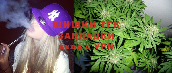 крисы Аркадак