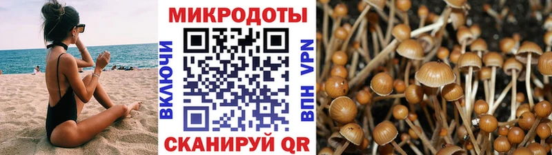 Псилоцибиновые грибы мицелий  Хадыженск 